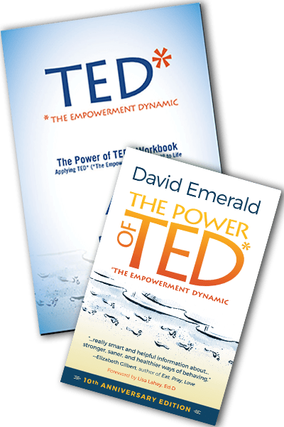 TED* and The Power of TED* book covers