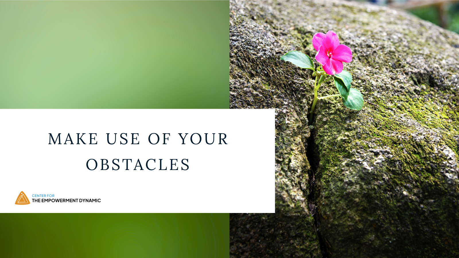 Make Use of Your Obstacles