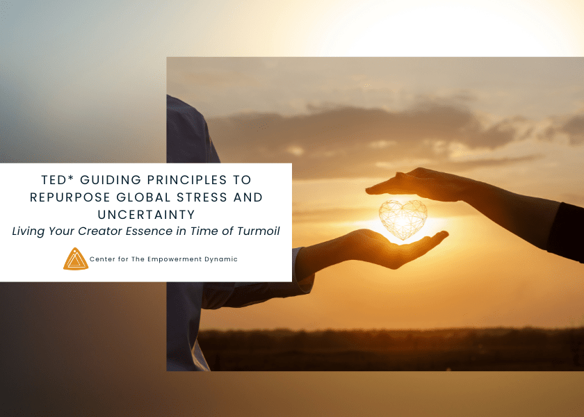 TED* Guiding Principles to Repurpose Global Stress and Uncertainty