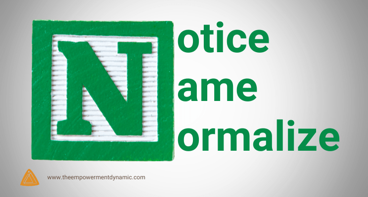The 3 N’s – Notice, Name, and Normalize