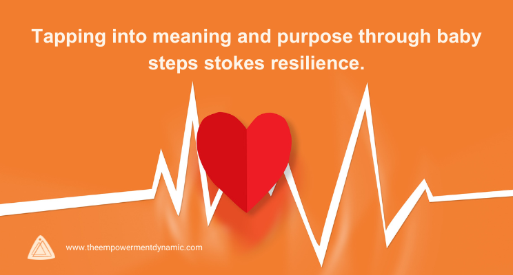 The Problem with Resilience