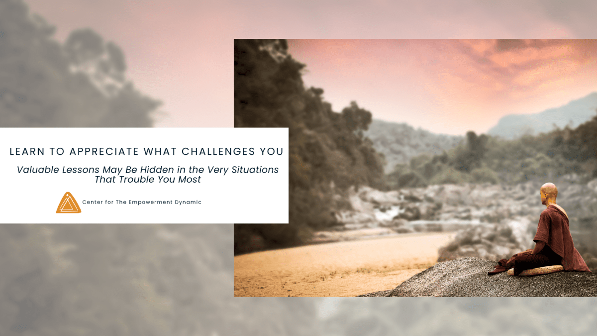 Learn to Appreciate What Challenges You: