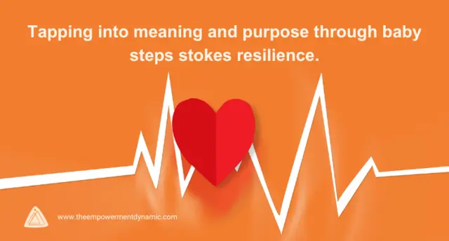 The Problem with Resilience